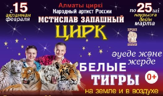 Ярослав и Мстислав Запашные представляют "Тигры на земле и в воздухе"